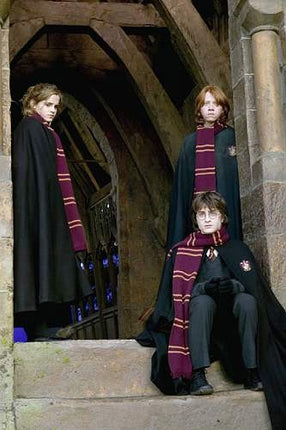 Gryffindor Harry Potter Šal 190 cm